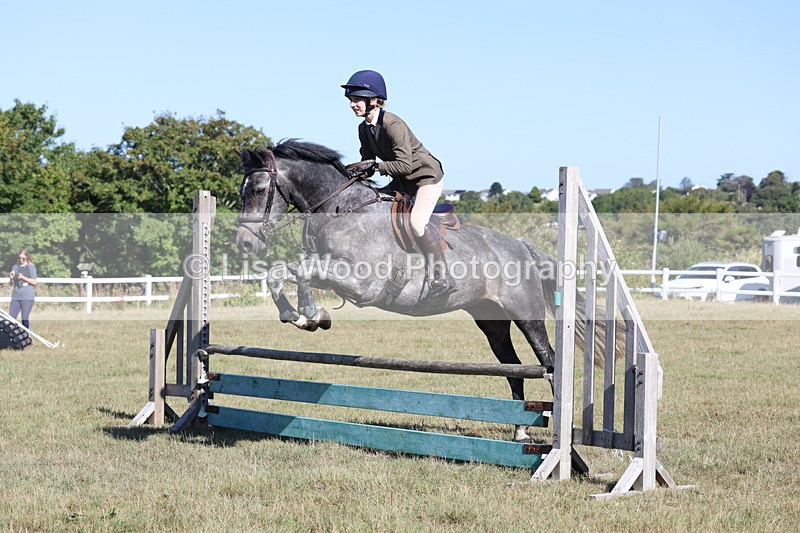 3E7A5506 - Class 3: Working Hunter 70cm