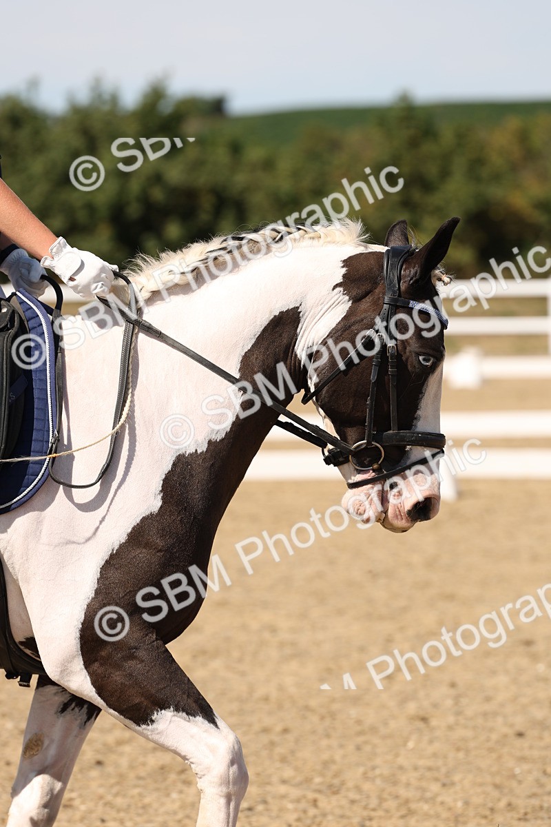 SBM_003690 - Elementary 4