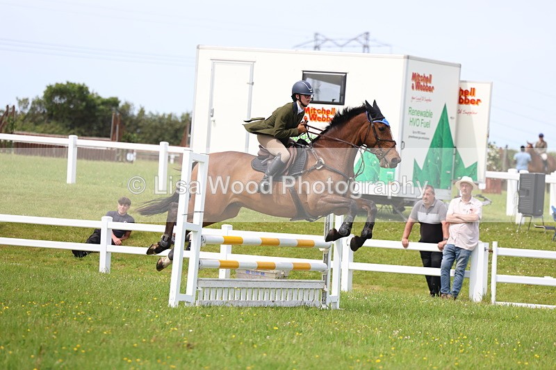 3E7A1627 - Class 13: Senior British Novice/90cm open