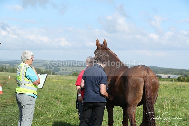 SPXX0017 - Friday vetting