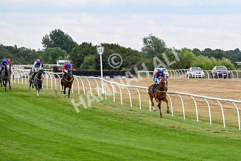 040826-Race 3-Free World-5051 - Race 3 15.15pm Jacky Rylance 60th Birthday Celebration Handicap