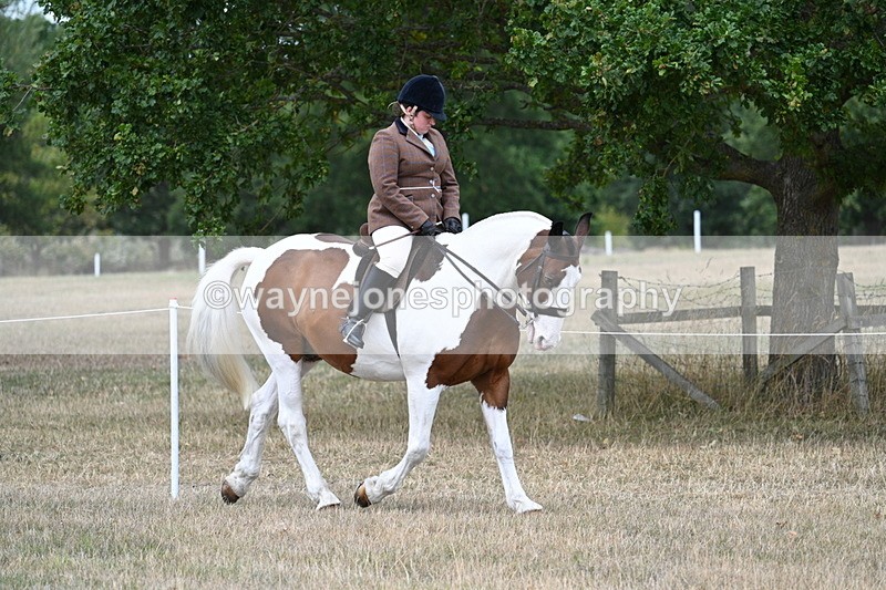 WJ7_4775 - Class 12 Ridden Cob