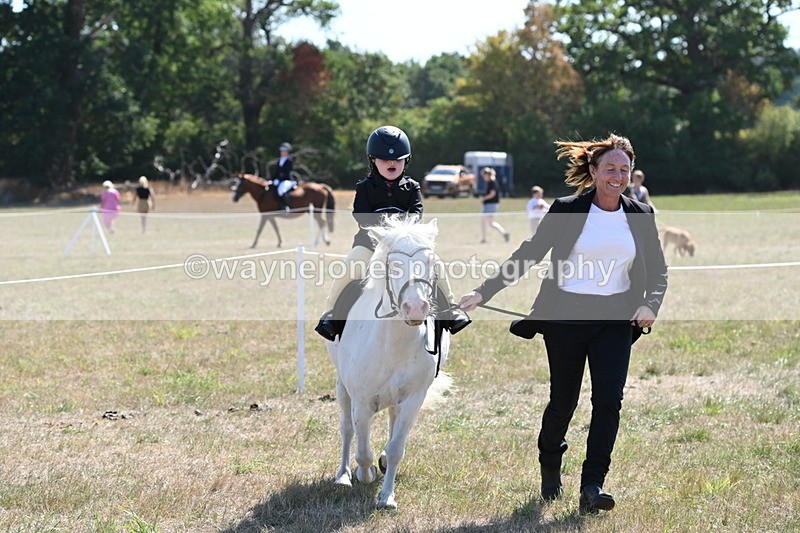 WJ6_7890 - Class 36 Lead Rein