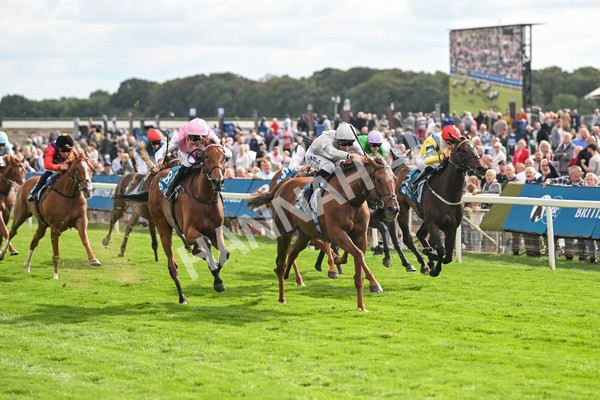 210825-Race 5-Charlottes Web-5037 - Race 5 4.10pm British EBF & Sir Henry Cecil Galtres Stakes