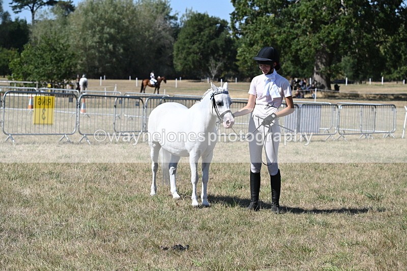 WJ6_9329 - Class 40 Cheekiest Pony/Horse