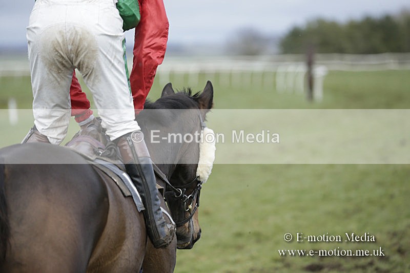 PtP 150320 0648 - New Forest Point-to-Point Larkhill 15/03/20