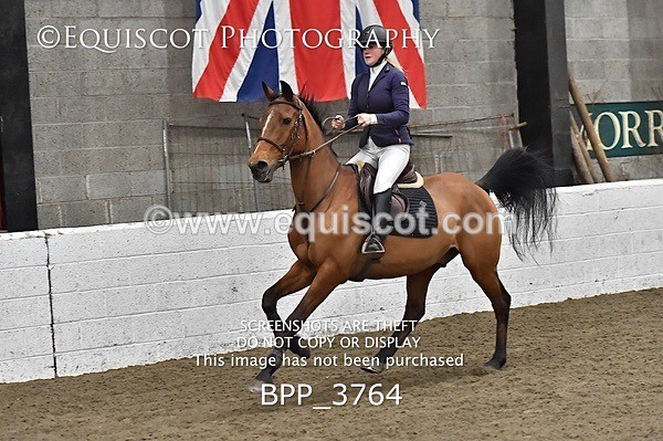 BPP_3764 - FRI CLASS 21 BR NOVICE/90CM