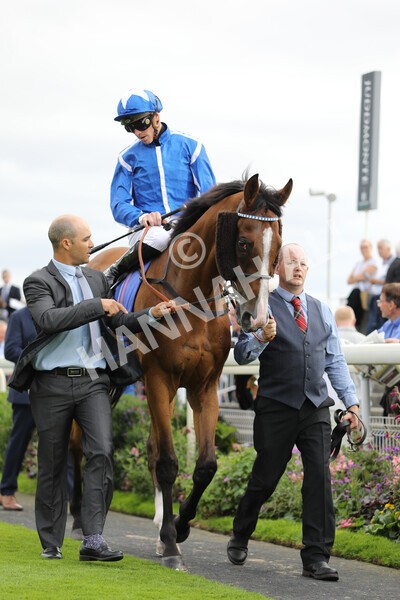 yr17082022r5-21 - Race 5 4.10pm Sky Bet Stayers Stakes