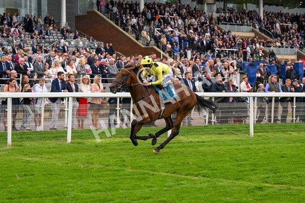 120724-Race 5-Sisyphean-6276 - Race 5 4.20pm George Blades Memorial Handicap