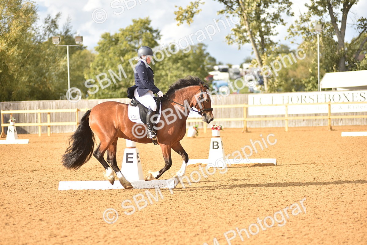 SBM_29655 - D16 -Small Tour Championship Novice 2
