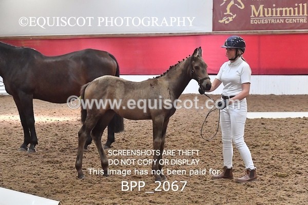 BPP_2067 - AFTERNOON 12.30 - 3.30PM