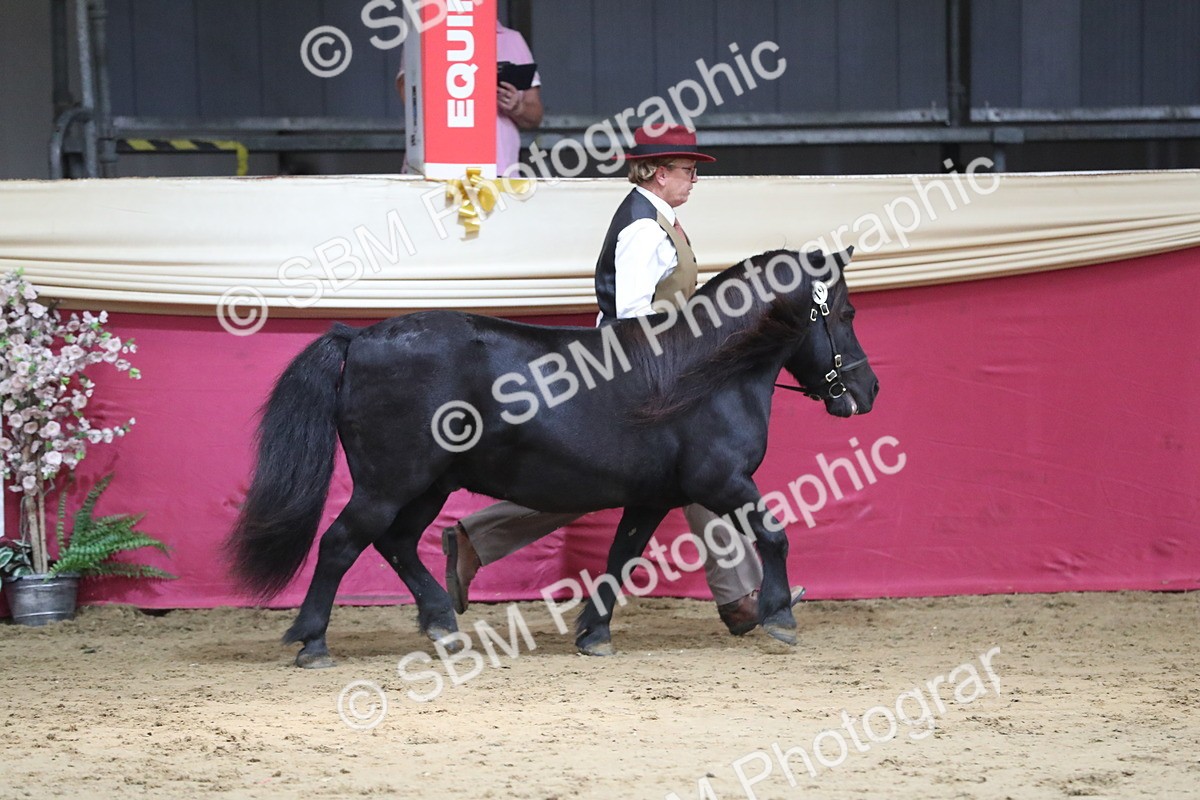 SBM_06264 - Class 9R Regional- IH Pre Vet