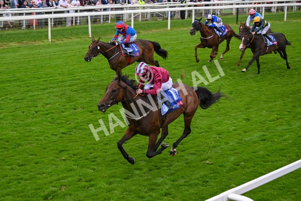 210824-Race 5-Extensio-5420 - Race 5 4.10pm Sky Bet Stayers Handicap