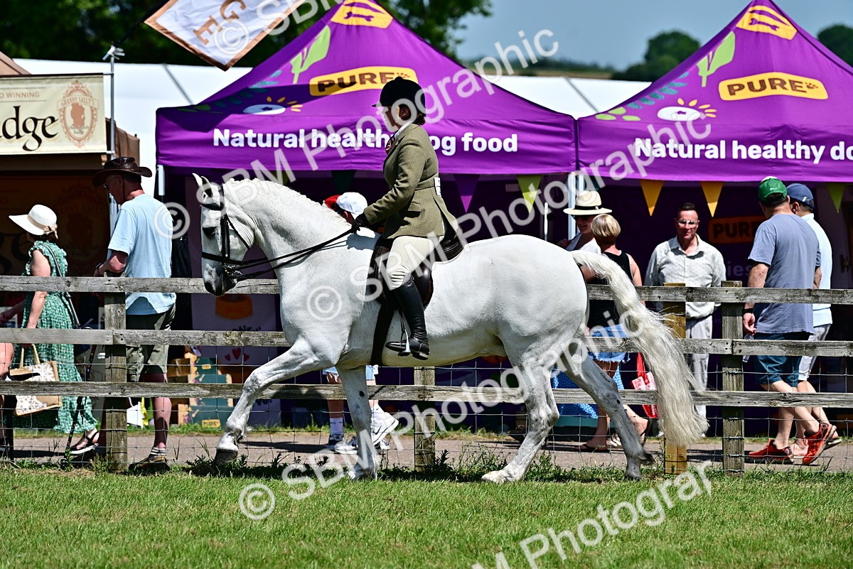 SBM_17484 - Class 95-97 - BSPS LHS Performance Ponies