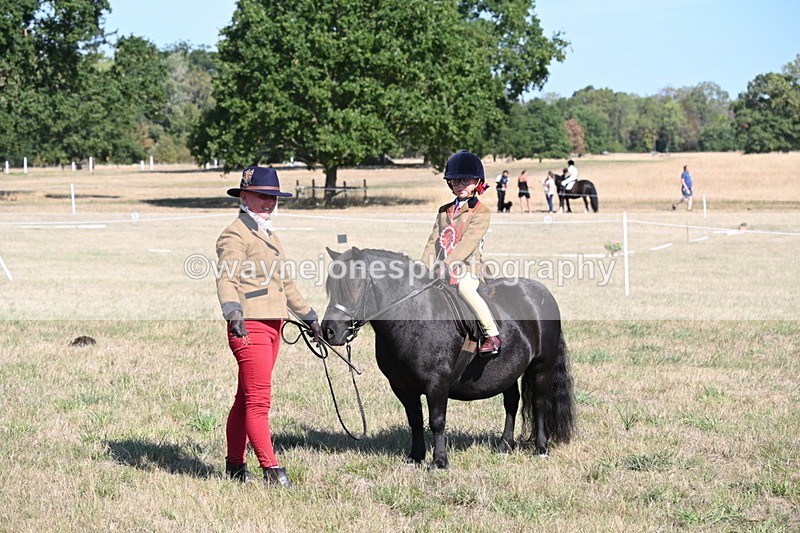 WJ6_7650 - Class 34 Judges Choice