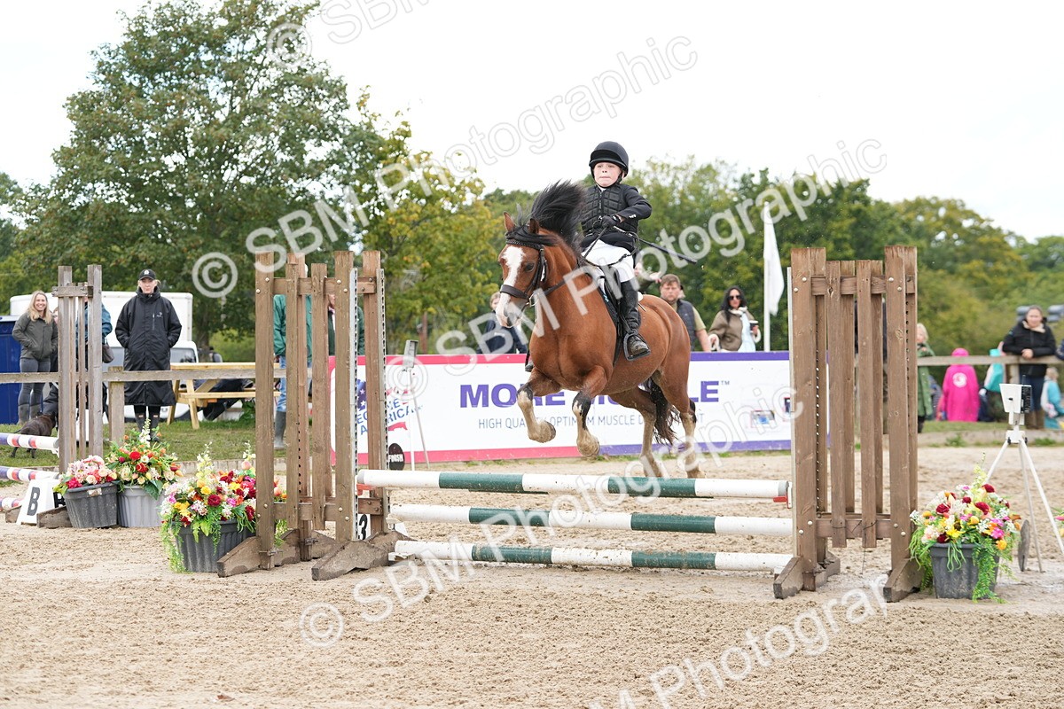 SBM_43427 - J7 - Junior Pony 60cm Championship