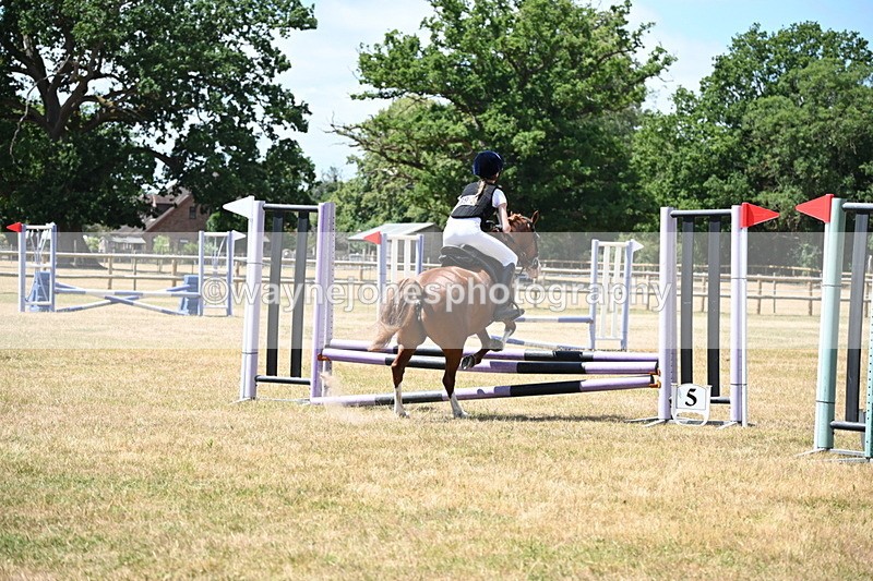 WJ6_5739 - Class 13 Novice 60cm