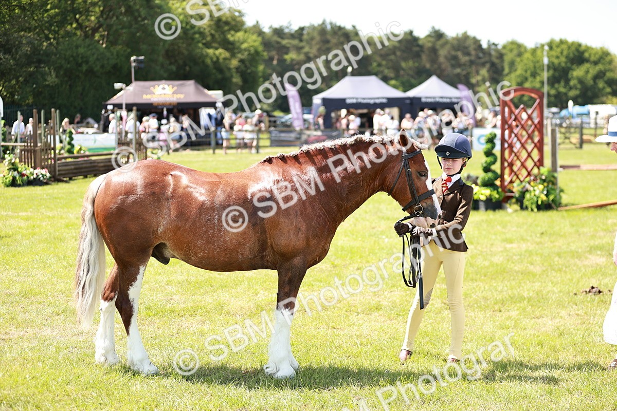 SBM_15613 - Class 108-109 - BSPS LIHS Open Gradle & Nursery Stakes