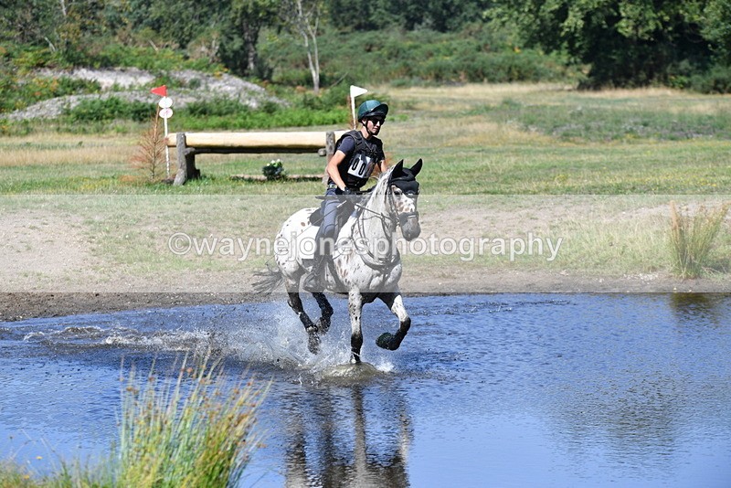 WJ5_2381 - XC Time 11:17 to 11:50