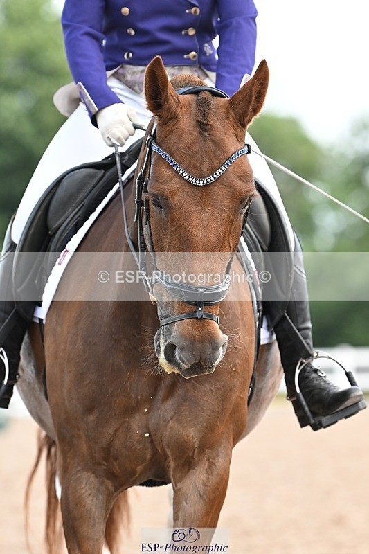 250620-102911-02615 - BD Cls 4 - Novice 5, Start to 11.30am