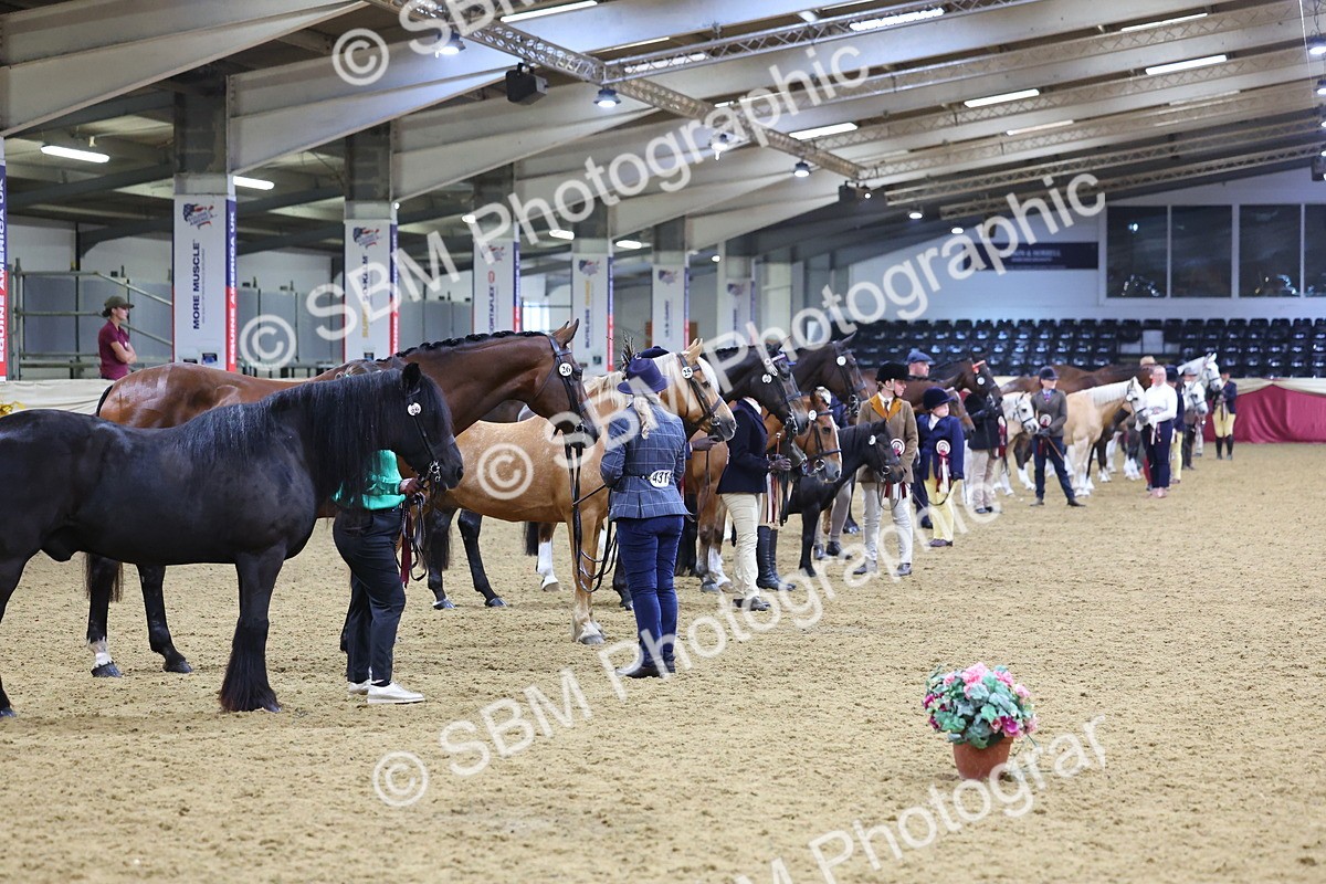 SBM_19751 - Class 901 - Supreme Final - IH Diamond