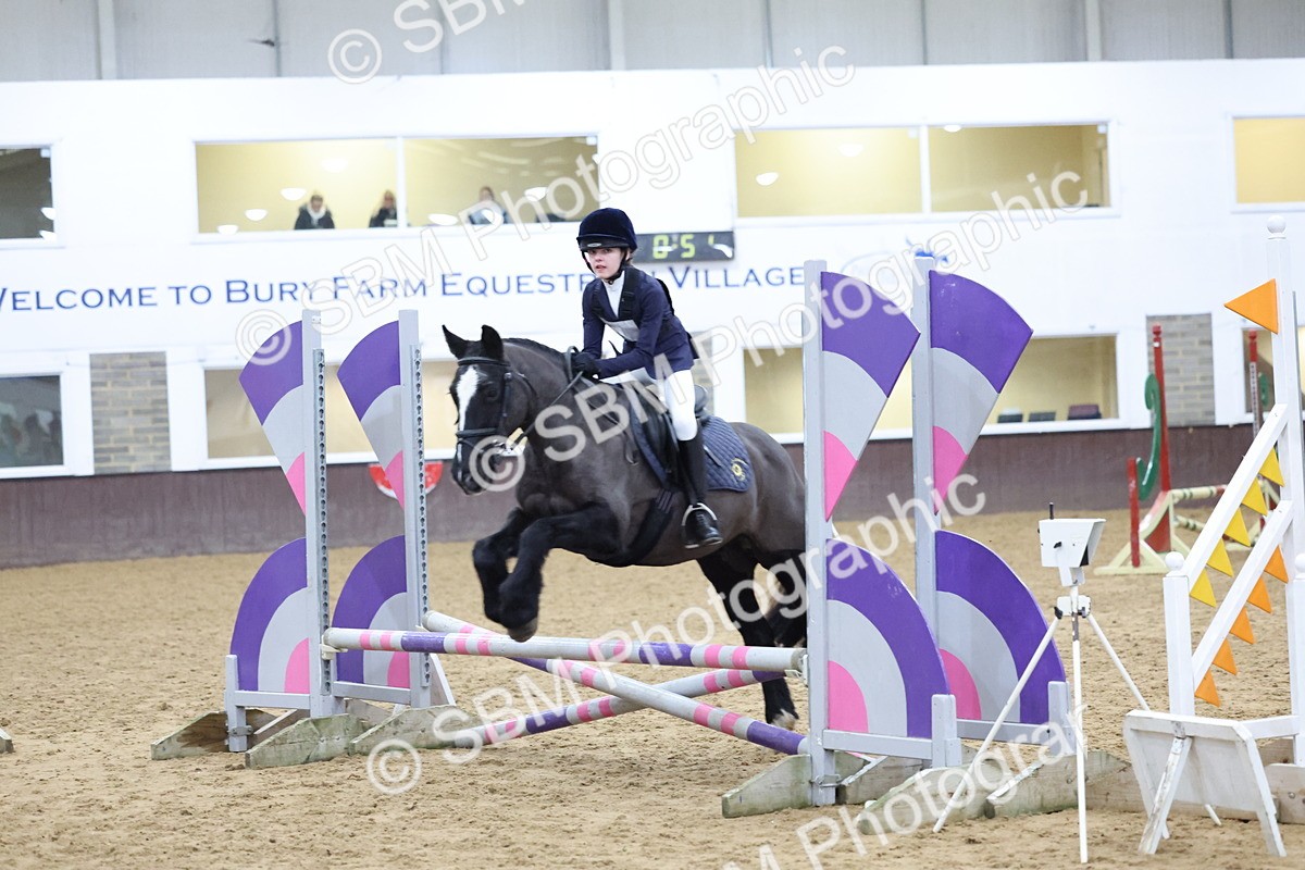 SBM_001146 - Class 3 - Christmas Tree Stakes - 60cm