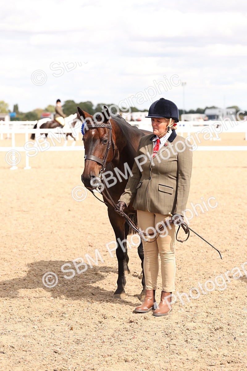 SBM_14726 - Class 208 - IH Veteran Horse