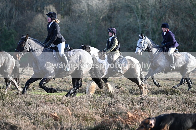 WJ7_7976 - Line 3 (no line 4 or 5)