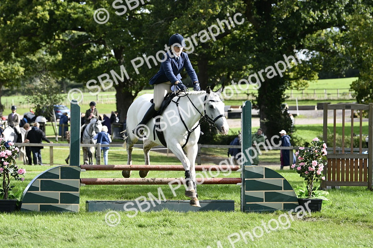 SBM_49975 - S34 - Novice & Newcomers Working Hunter
