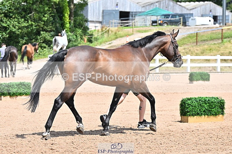 240718A-105313-01726 - Trot Up 1pm to 2pm