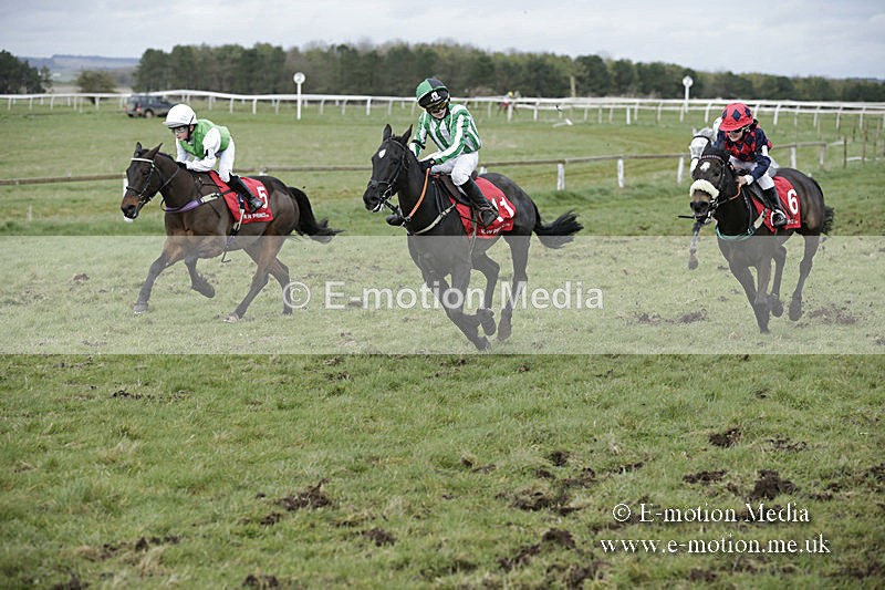 PtP 150320 0762 - New Forest Point-to-Point Larkhill 15/03/20