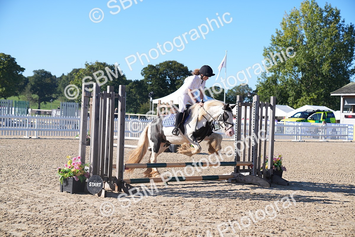 SBM_00767 - J53 Clear Round 40cm