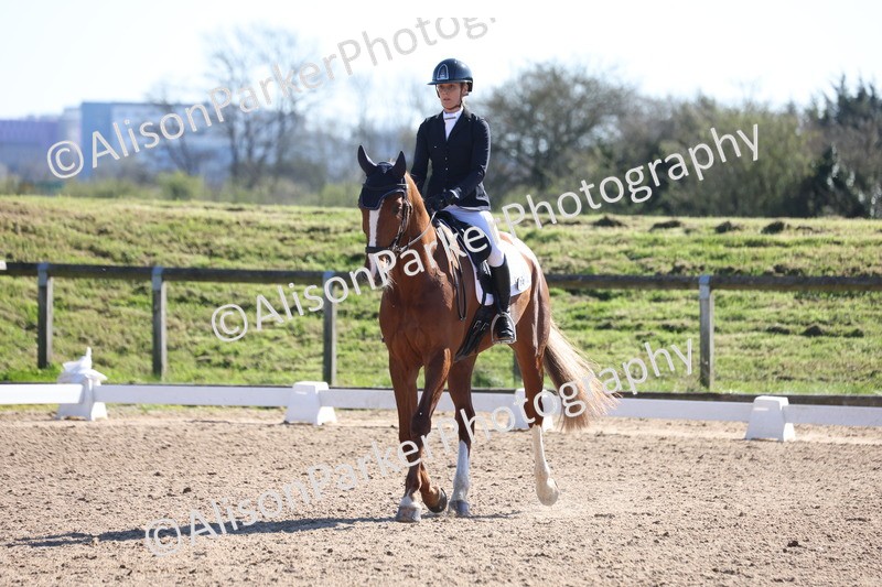 20260318-0517 - Class 5 - Novice 2