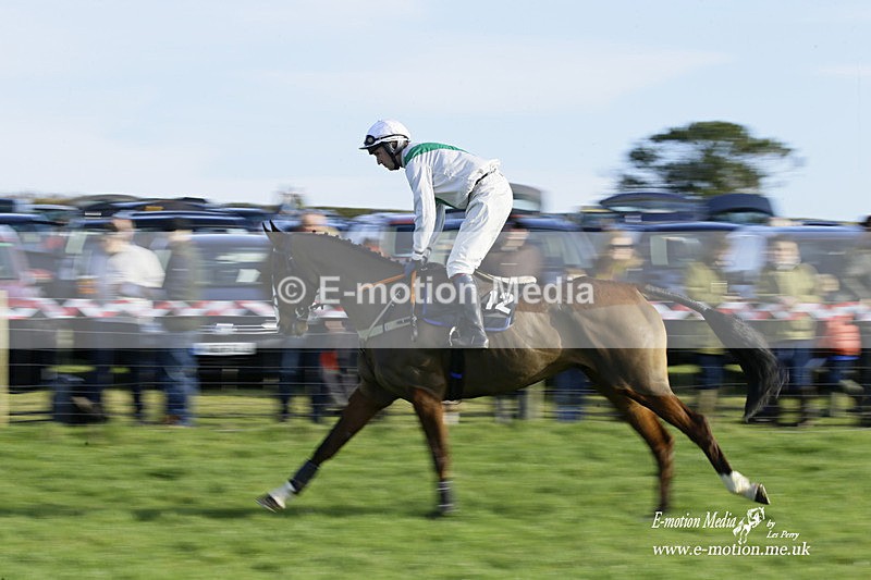 PtP 300122 180 - South Dorset Hunt - Point-to-Point Races 30/01/2022
