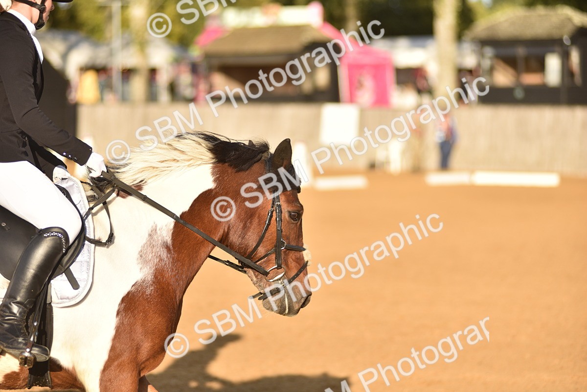 SBM_53394 - D24 - Junior Championship Prelim 3