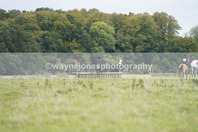 _DSC7285 - Time at Photographer 10:43 to 11:19