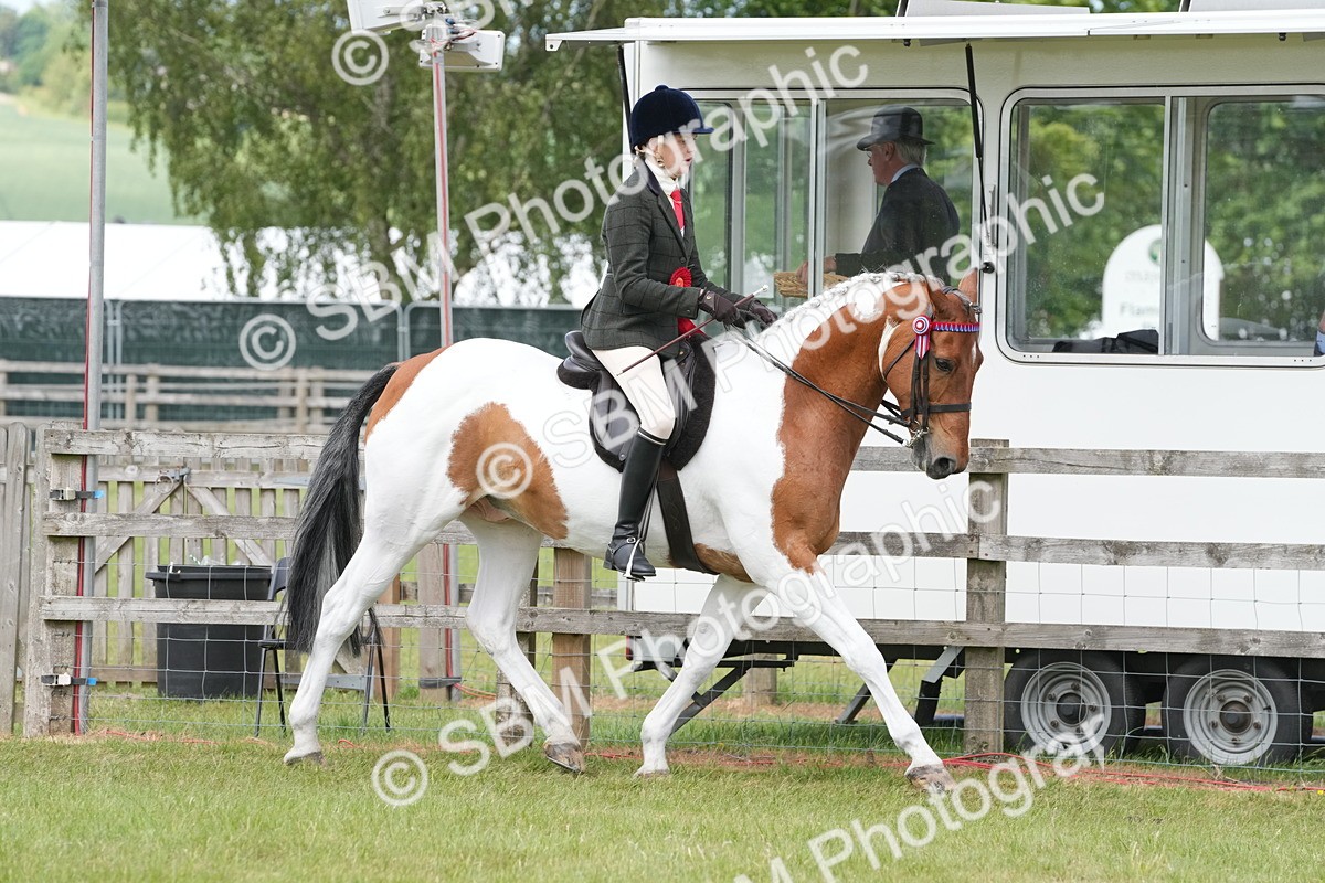 SBM_17640 - Class 107-108 - LIHS BSPS Performance Coloured Horse Pony