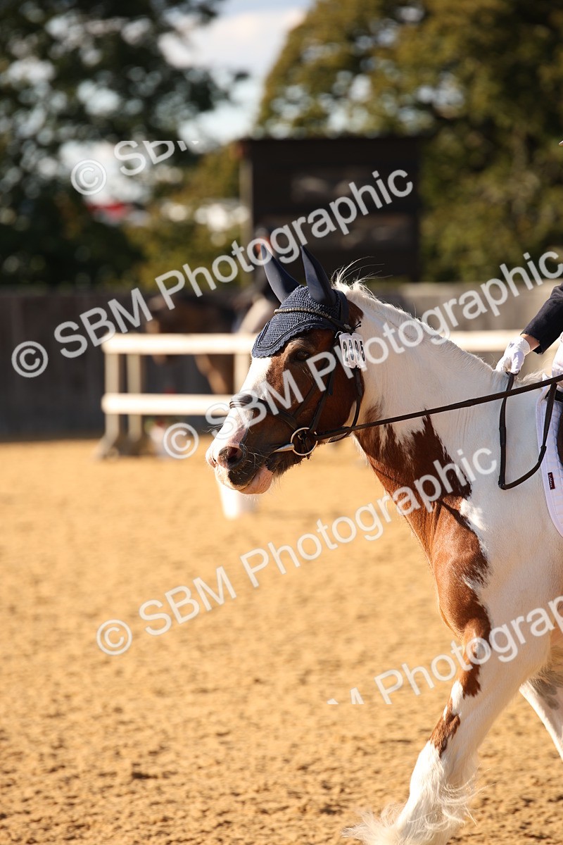 SBM_28326 - D11 - Small Tour Championship - Prelim 13