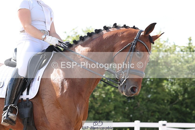 240622A-164149-14681 - Cls 36 BD Adv Medium 98