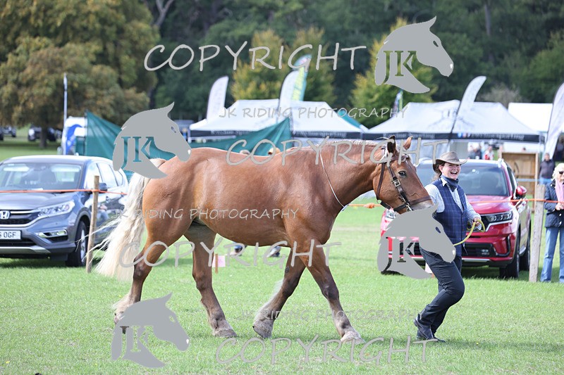 APP_3347 - Class 4 Veterans