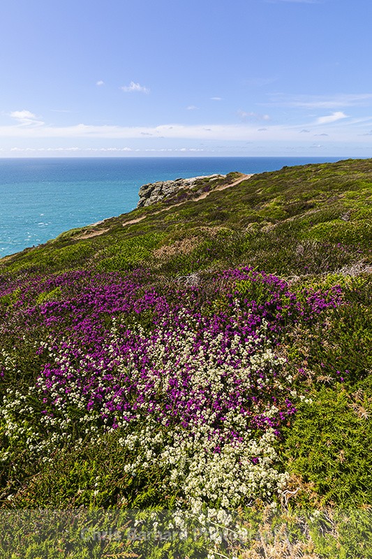  - St Agnes Head