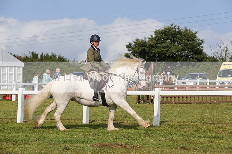 1X9A3239 - Class 28: Ridden Native/Trad Coloured Pony