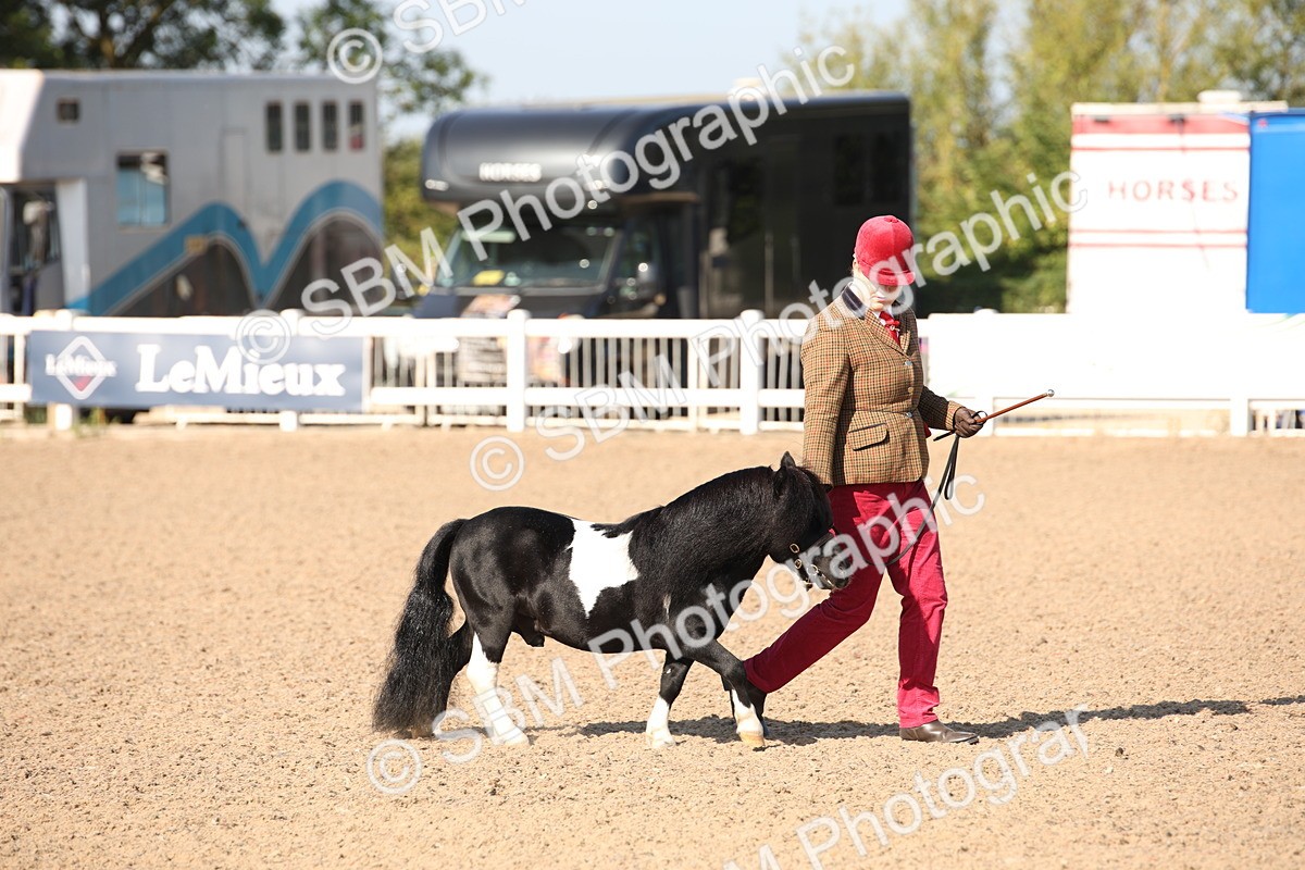 SBM_01423 - Class 15 IH Coloured