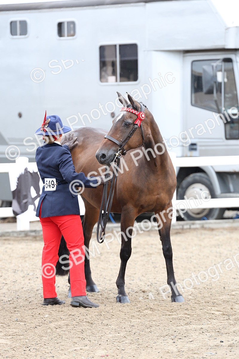 SBM_00038 - Class 50 - Best Turned Out IH