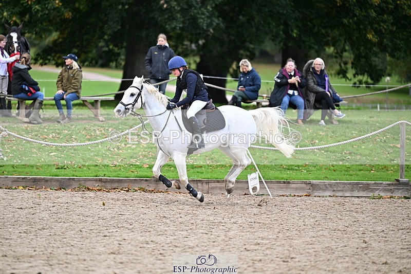 251005A-135104-04188 - Cls 09 Nov 80-85cm