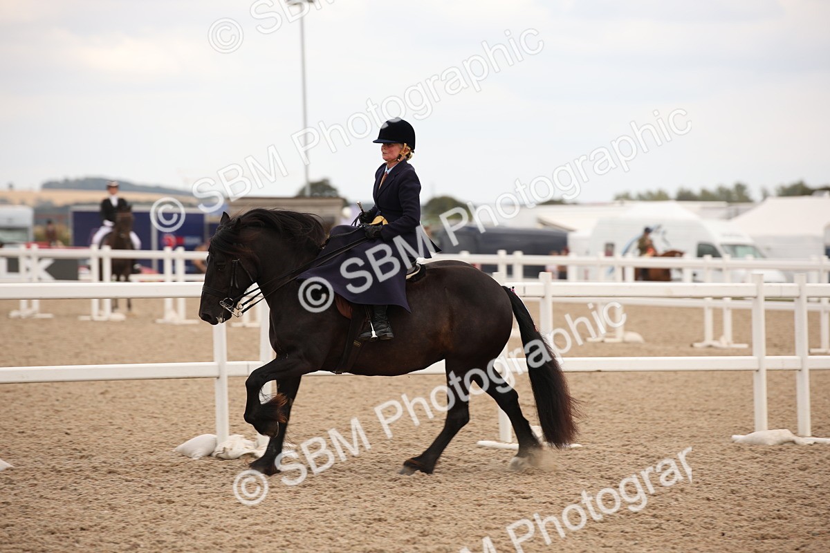 SBM_05365 - Class 22 SSA Equitation