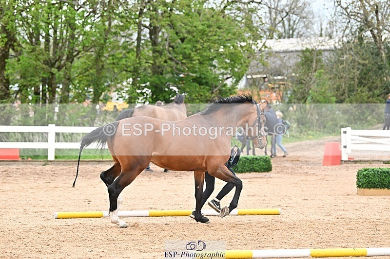 250423-160757-01975 - 4pm to 5pm