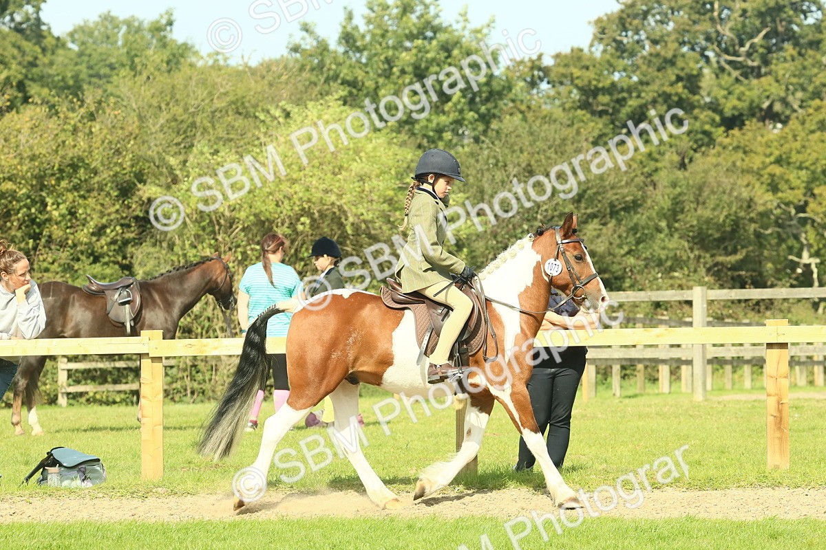 SBM_67435 - S56 - Coloured Pony Ridden