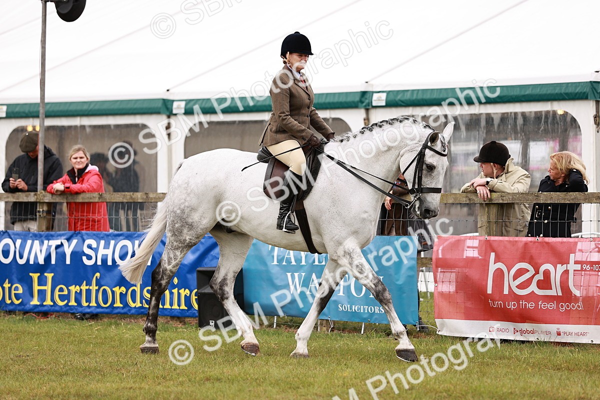 SBM_11544 - Class 81-84 - RIHS Ridden hunters Inc Ladies Hunter