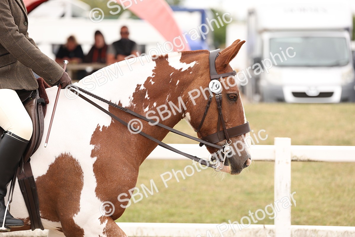 SBM_19477 - Class 215 - Ridden Show cob